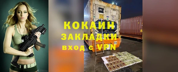 круглые Пересвет